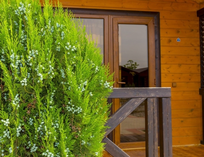 Пансионат «Бригантина» Цандрипш